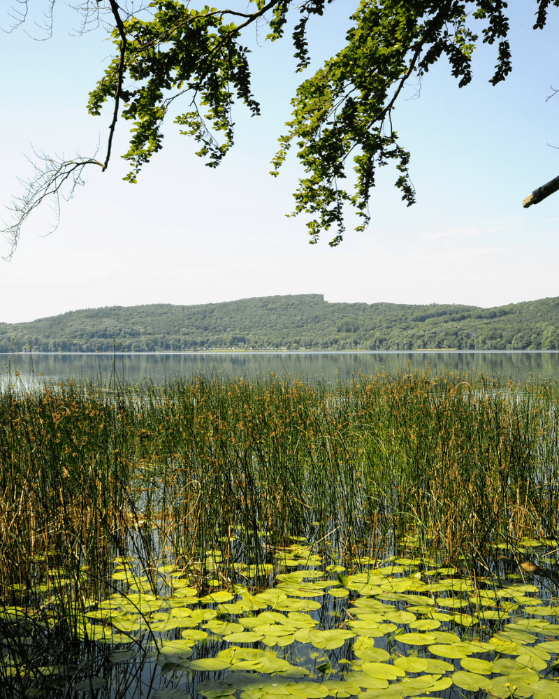 Laacher See Volcanic Crater Lake