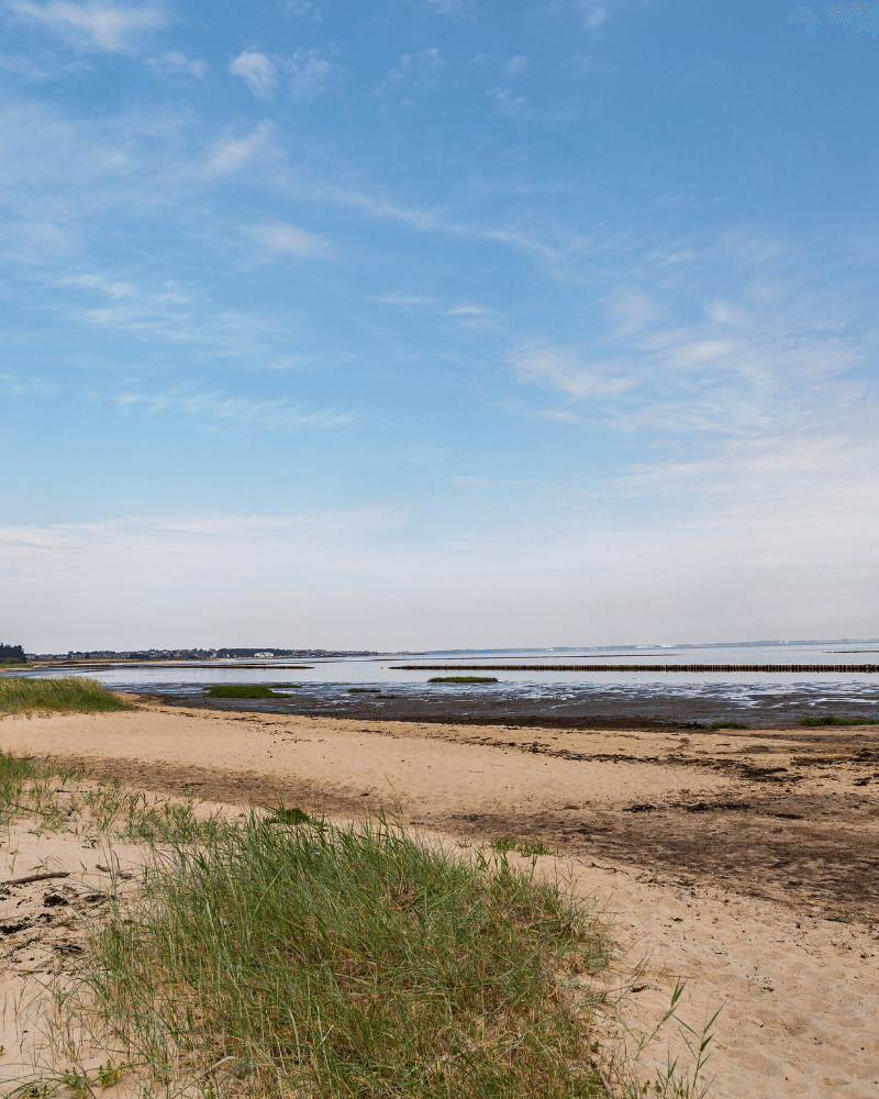 Wadden Sea