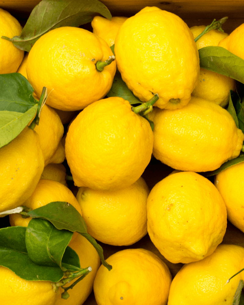 Limoncello - local food