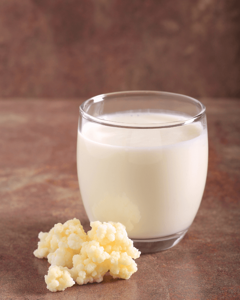 Kefir - local food