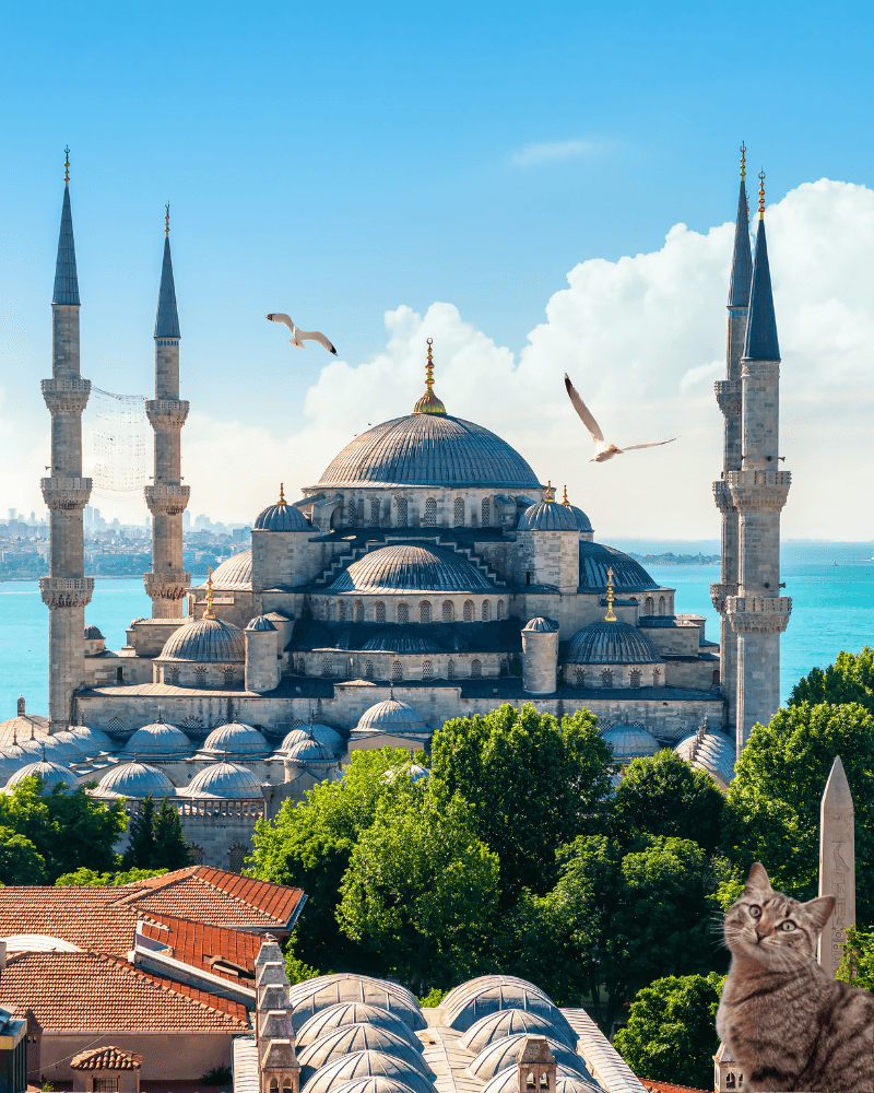 İstanbul