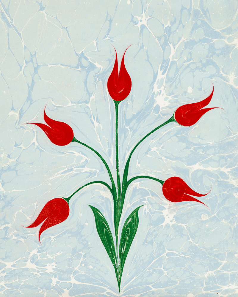 Ebru Sanatı